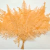 Arancione