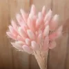 Couleur rose clair