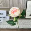 WP-Single Imperial Concubine Rose-Champagne