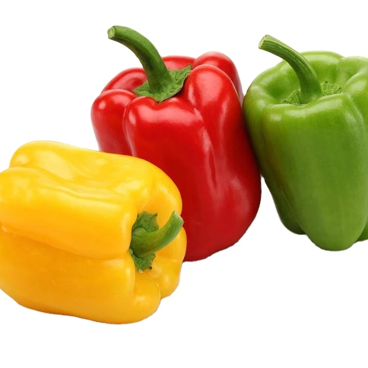quality chinese capsicum color sweet bell pepper/yellow/green