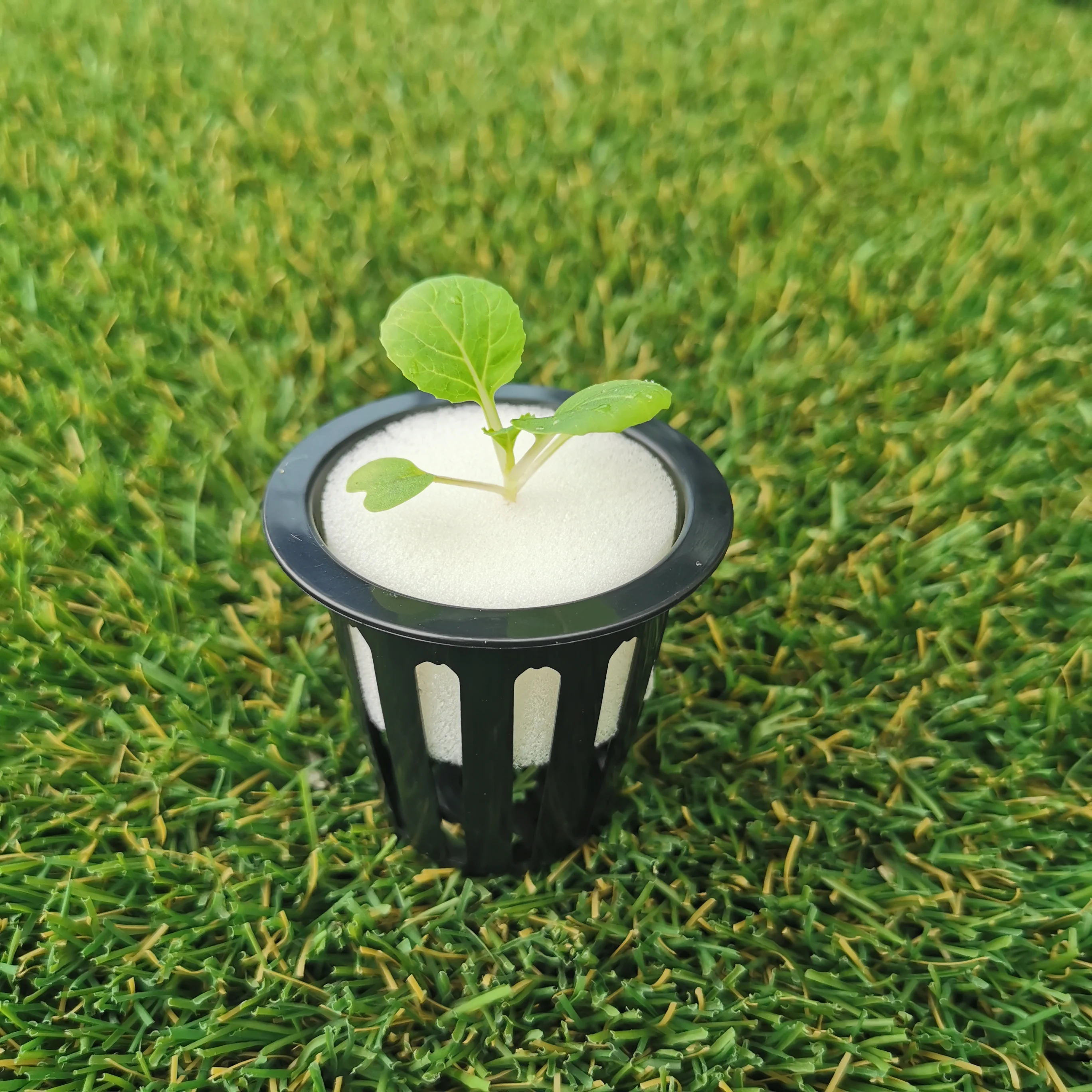 hydroponic net cup