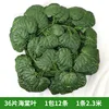 ใบไม้ Crabapple 36 ใบ, 12 แถบ