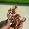 Money Agate Moon