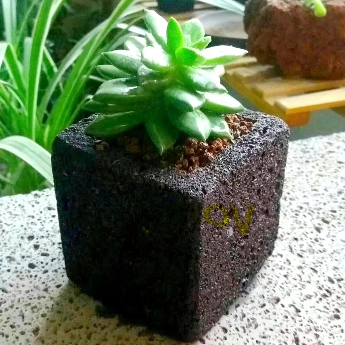 Schwarz vulkanischen felsen lava bimsstein mini stein bonsai topf blumentopf