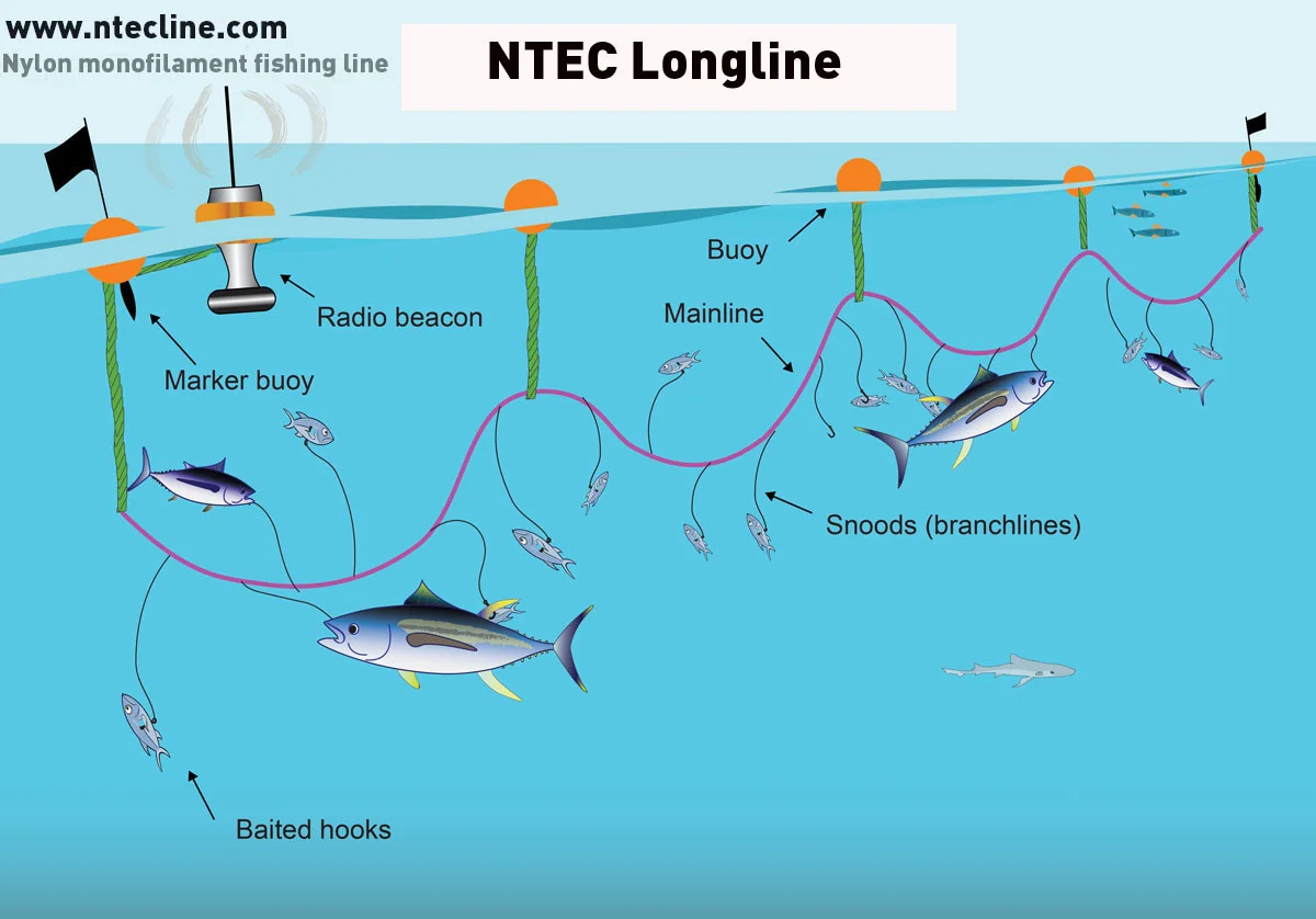 4mm Nylon Fishing Line 3500lb Transparent Nylon Monofilament Line Buy