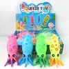 Colorful(Squid Squishy)