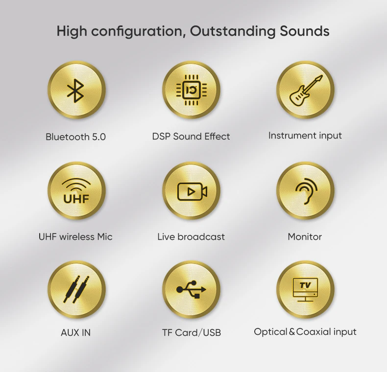 SHIDU Luxury 100W DSP Sound Portable Handle Optical Coaxial input Karaoke Microphone Bluetooth Home Professional Audio Speaker