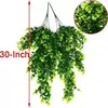 45-mesh eucalyptus - without pot