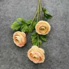 Ranunculus 1