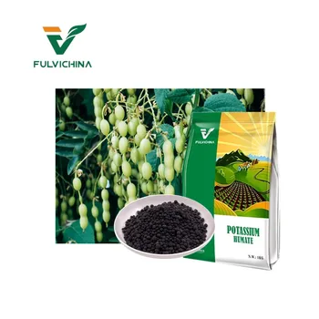 Controlled Release NPK and Fulvic Acid Type for Agriculture FULVICHINA 45%min Organic