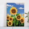 Sj013 girasole 3