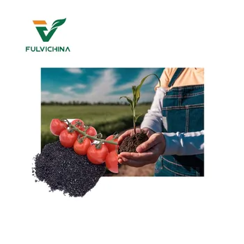 Organic Potassium Humate Fertilizer Flakes Fulvic Acid Manure for Agriculture Humic Acid Product