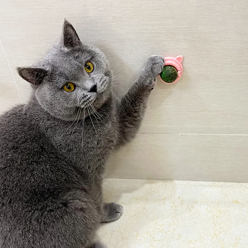 Hot Tiktok Selling Catnip Toys Pure Natural Catnip Ball Rotatable Cat