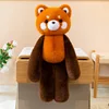 Raccoon