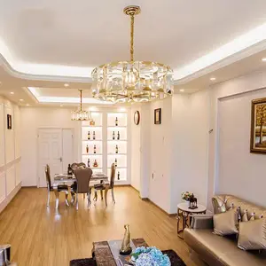 Factory Direct Nordic Chandelier for Living Room Luxury Fancy Glass Pendant LED Iron Lamp with Remote Control Middle Sizes