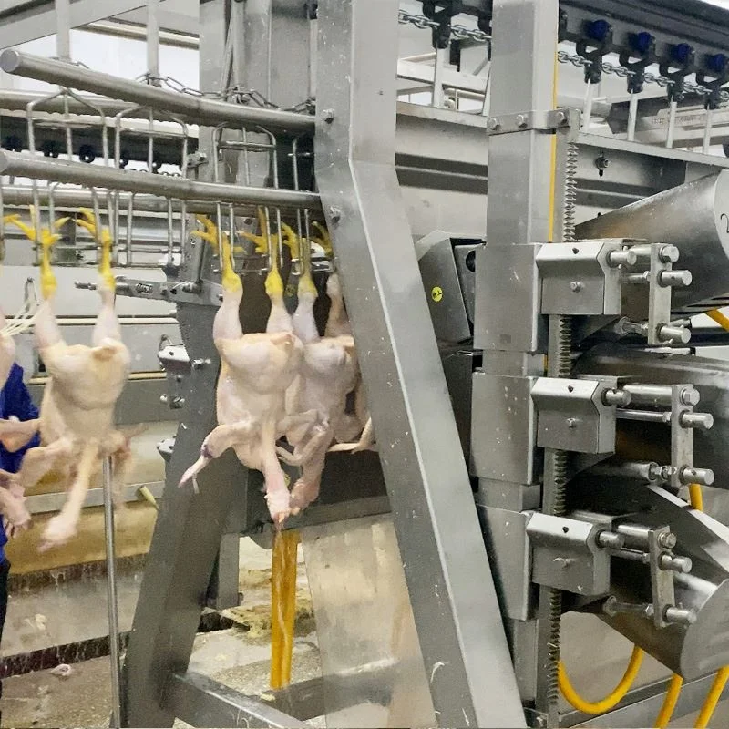 2000BPH Poultry Slaughter Line Chickens Process
