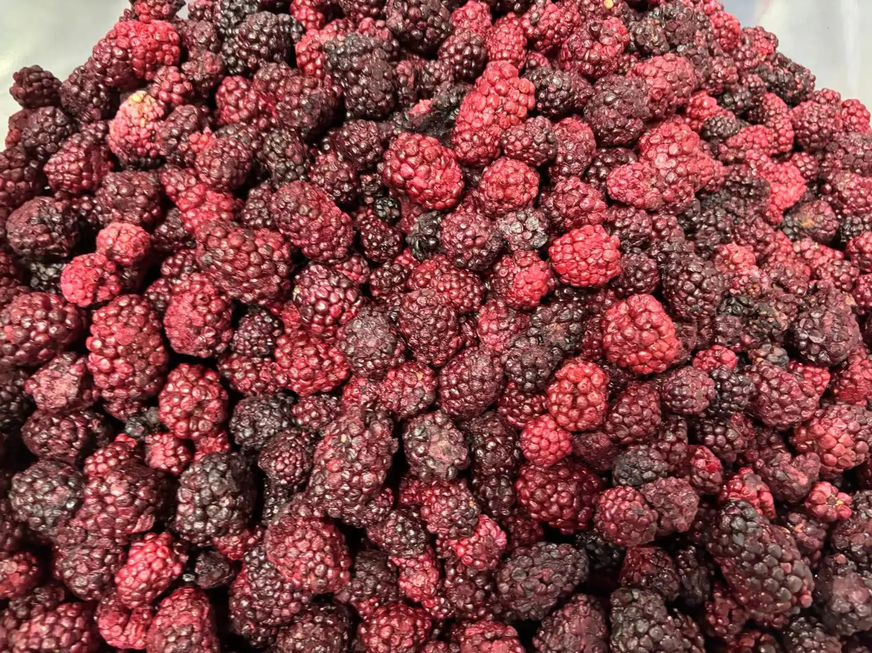 GY 50g Freeze Dried Blackberry FD Sweet Flavor Bulk Water Preserved China Private Label Fruit Snacks Manufacturers