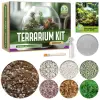 Terrarium