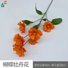 Fleur de pivoine papillon BD Orange