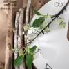 เขียวอ่อน