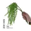 Bundle of pokeweed (6 tubes)