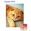 colorful Square Drill