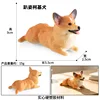 Corgi Prone 3592, ¡un colorido deslumbramiento!