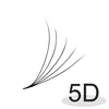 5D