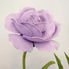สีม่วง