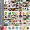 COLOR PERSONALIZADO