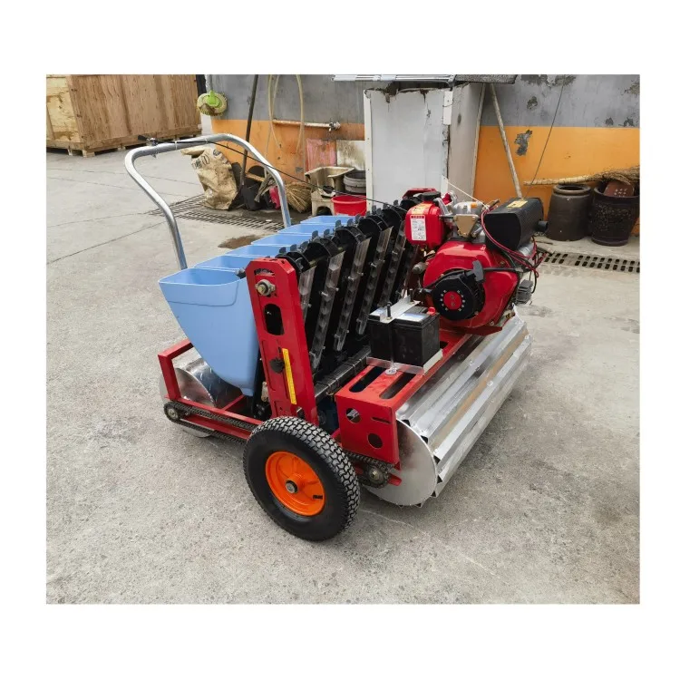 Automatic Garlic Seeder Machine Garlic Planter Sale Agriculture Equipment and Tools Planter