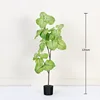 White-Green 120cm