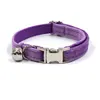 Silver hardwares collar