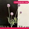 Pourpre