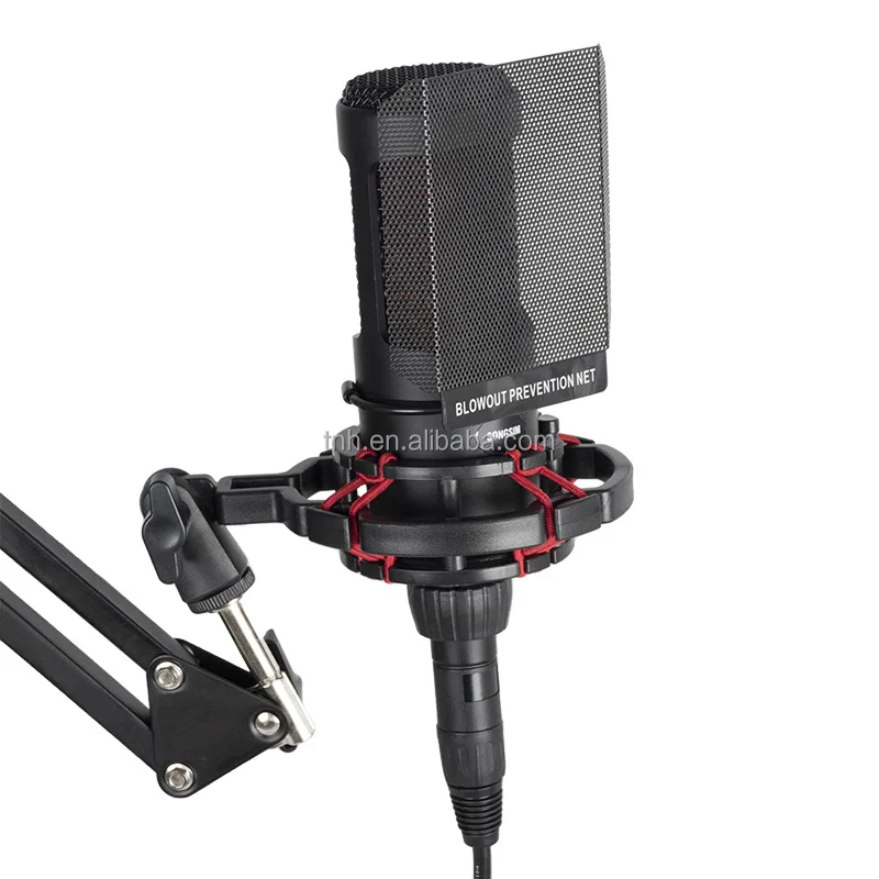 TNH CM- ZX2020 Condenser Microphone Studio Recording Mic Computer