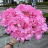 สีชมพูเข้ม