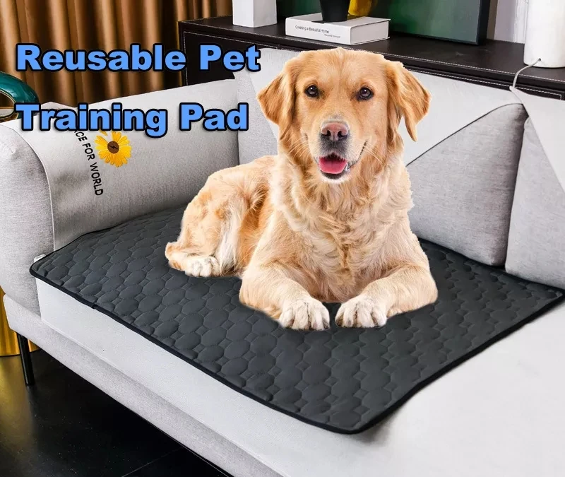 BSCI Eco-friendly Washable Large Pee Pads Dog Puppy Pee Training Pad For Dogs factory