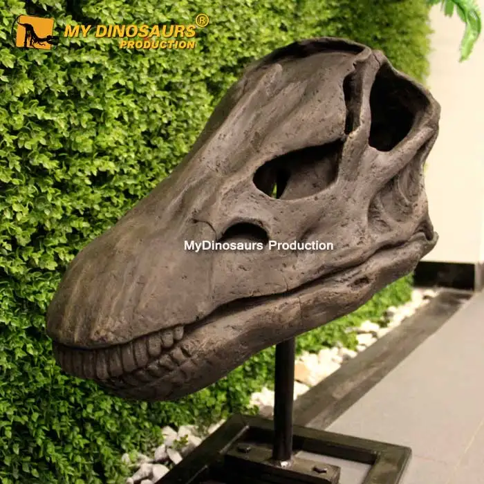 木彫　恐竜　アロサウルス頭骨模型　1/10スケール 木彫 恐竜 アロサウルス頭骨模型 1/10 「Big Al」 - メルカリ