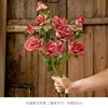 3 burnt-edged roses in rose red