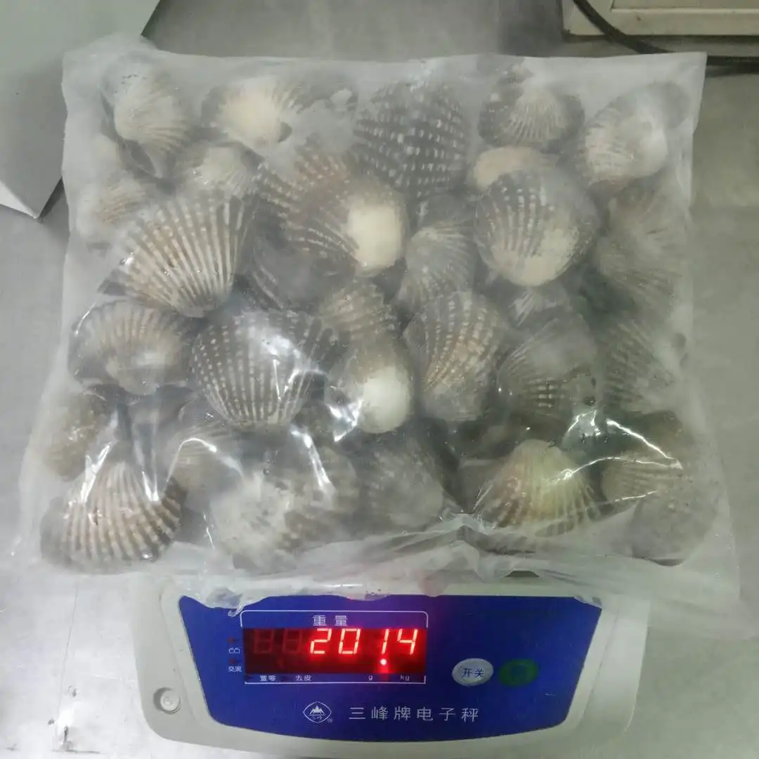 Wholesale Indonesia Frozen Mao Clam/blood Clam Buy Blood Clam frozen