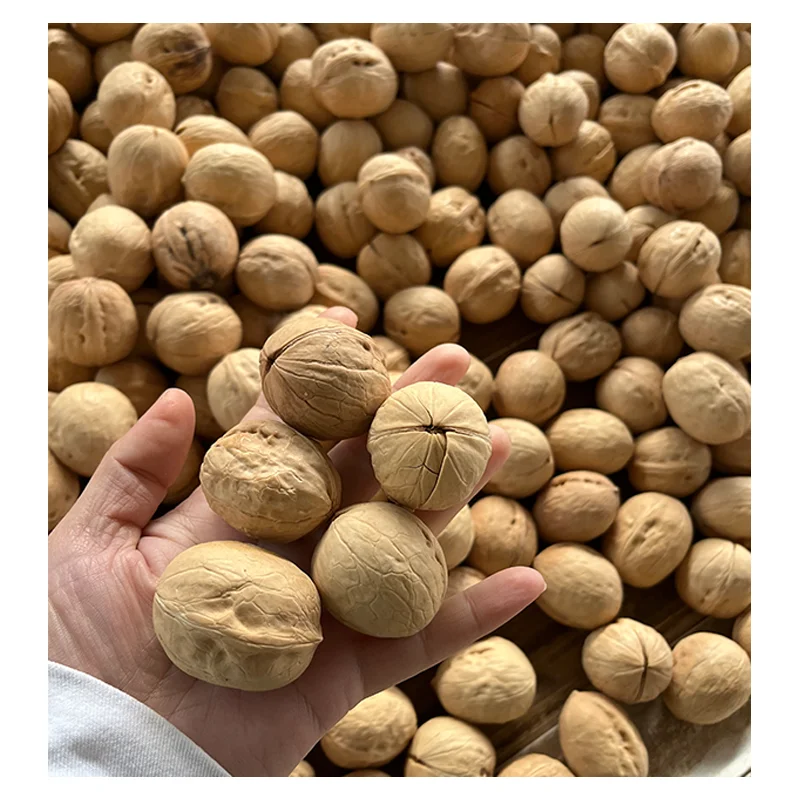 Shelled Walnuts Extra 5-7cm Light Kernels Premium Quality 20kg PP Bag Competitive Price Walnuts