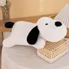 Black and white dog