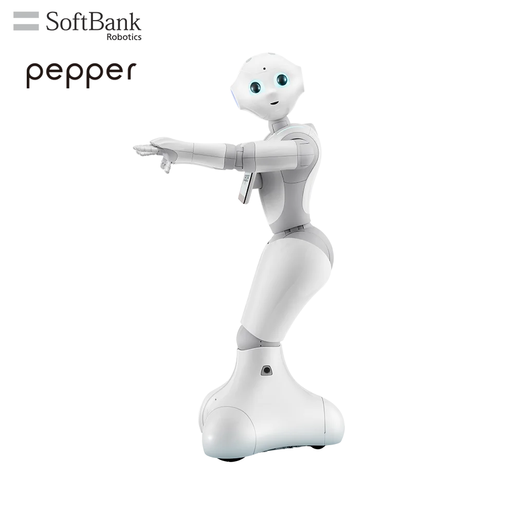 SoftBank перец Робототехника академический лагерь решение для STEM K12 обучение и исследование развитие хобби в программирующих роботах