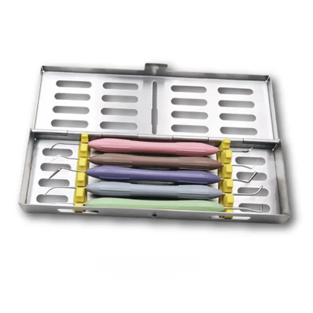 Merison MP5100 Aesthetic Restoration Instrument Composite Resin Filling Instrument Kit with Silicone Handle 5pcs/kit