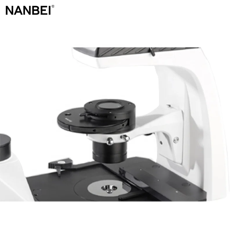 Phase Contrast Microscopy to View GFP, RFP, and BFP Inverted Fluorescent Microscope