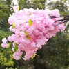 4 forks density pink
