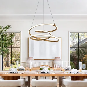 Round Ring Post-Modern Nordic Restaurant Bar Simple Curved Art Design Led Chandelier Long Dining Fancy Pendant Light for Home