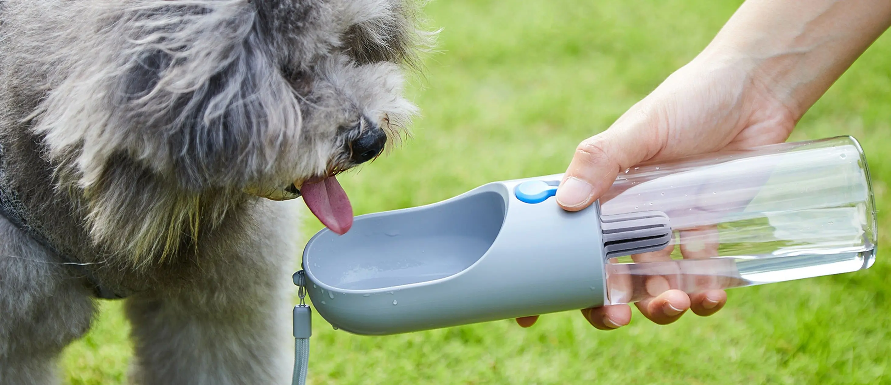 Petkit Portable Travel Dog Water Bottle High Quality Pet Drinking Bowl