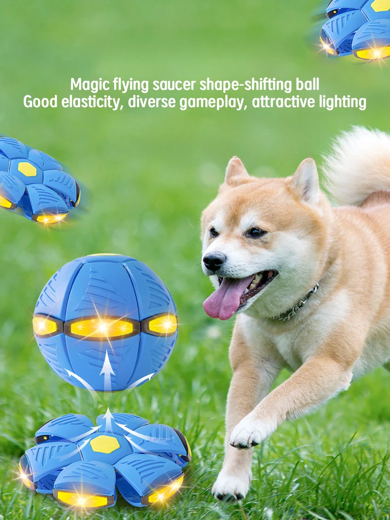 Interactive Dog Accessories - Durable & Sustainable Toys