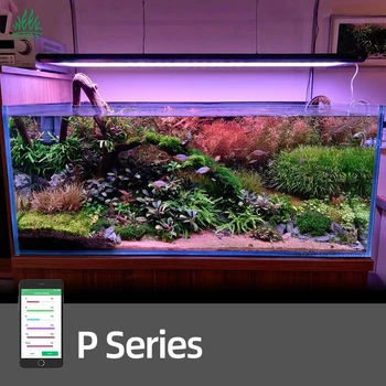 WEEK AQUA P Series LED Lights - Modern Aquarium Solutions